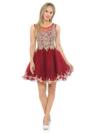 Burgundy Sleeveless Stone Embroider Sheer Mesh Short Dress